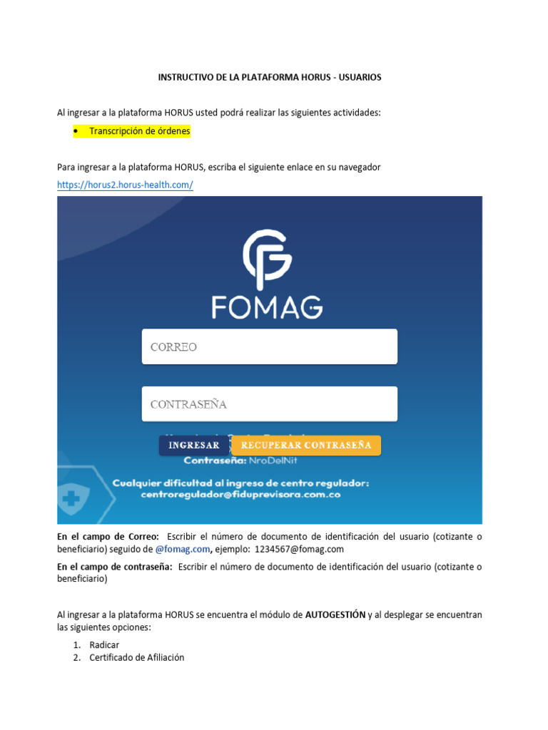 Instructivo para Usuarios de HORUS | PDF | Informática