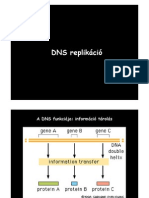 DNS Replikacio 041004