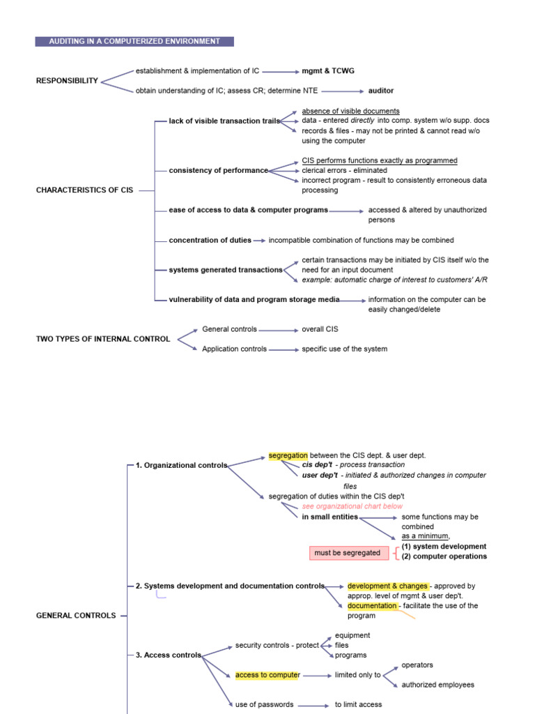 Auditing in a Computerized Environment | PDF | Computer Program ...