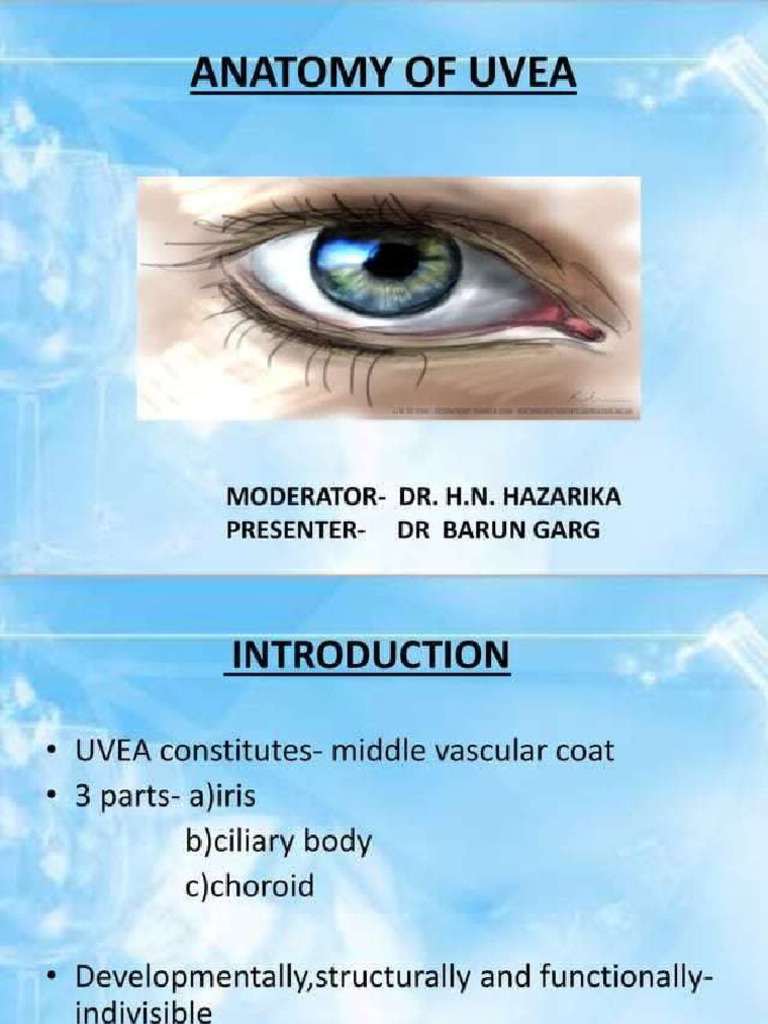 Anatomy of Uvea | PDF