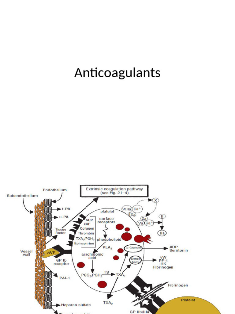 Anticoagulants | PDF