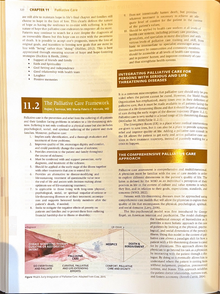 Palliative Care Framework Scanned | PDF