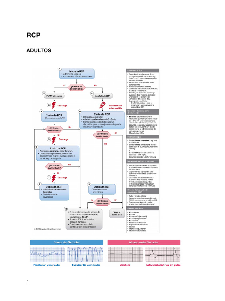 Guía Completa de RCP y Enfermedades Críticas | PDF | Diarrea ...