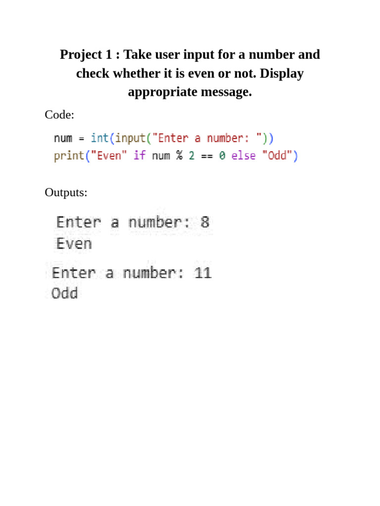 User Input Programming Projects | PDF
