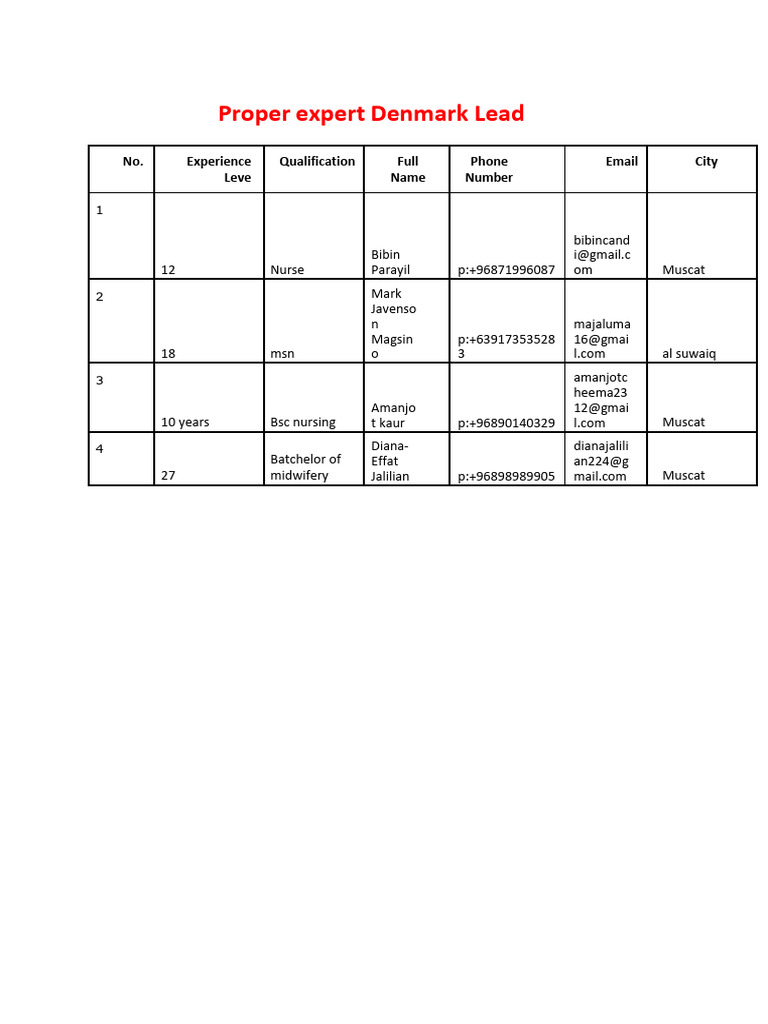 Proper Expert Denmark Lead 12-02-2025 | PDF
