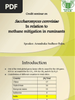 Download Saccharomyces Cerevisiae Methane by sudheer babu arumbaka SN93470690 doc pdf