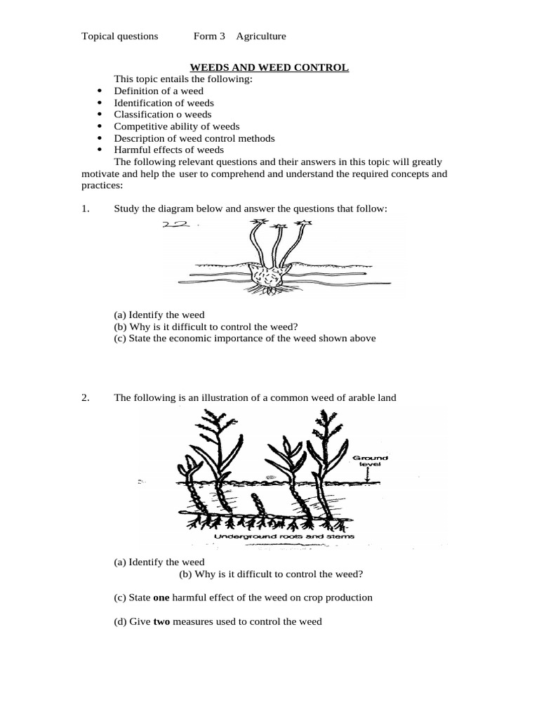 Weeds and Weed Control | PDF | Weed | Herbicide