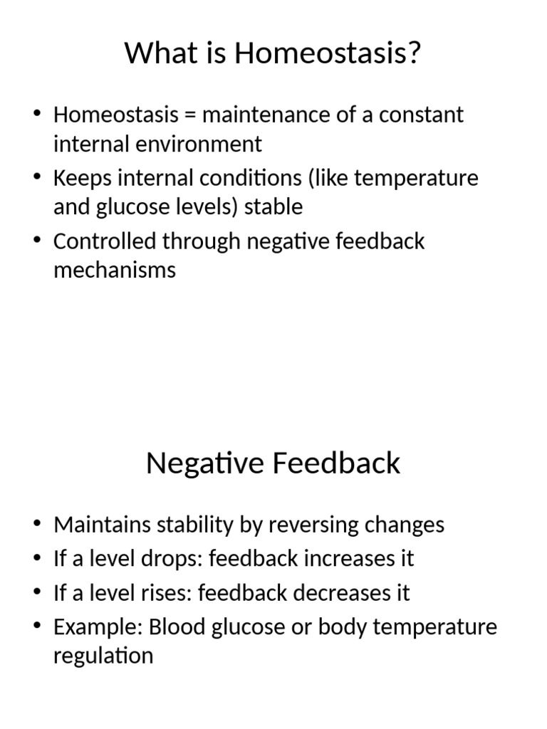 Understanding Homeostasis and Regulation | PDF