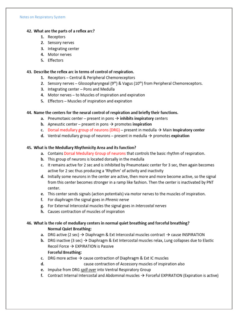 Respiration Notes - Part 4 | PDF | Physiology | Respiration