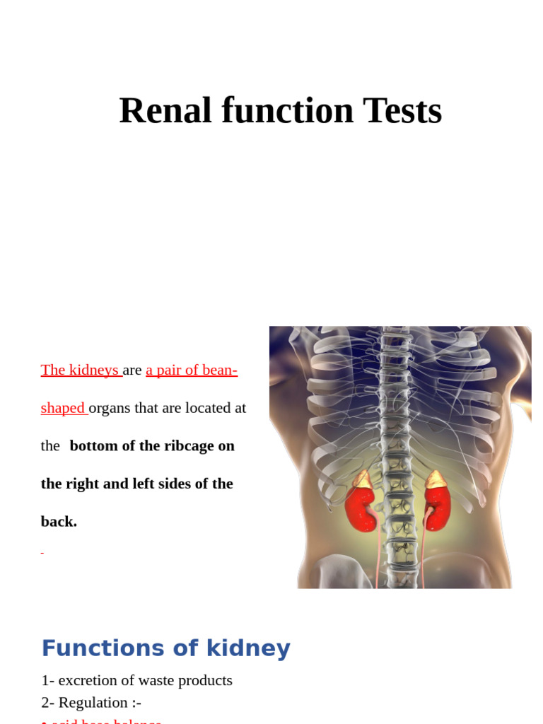 Understanding Renal Function Tests | PDF | Creatinine | Kidney