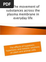 Movement of Substances Across the Plasma Membrane in Everyday Life