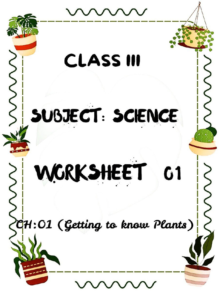 Chapter 1 Worksheet Class 3 Science | PDF
