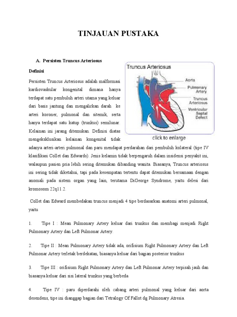 Persisten Truncus Arteriosus: Tinjauan Lengkap | PDF | Sains & Matematika