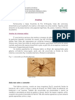 Guia sobre aranhas de interesse médico em SC