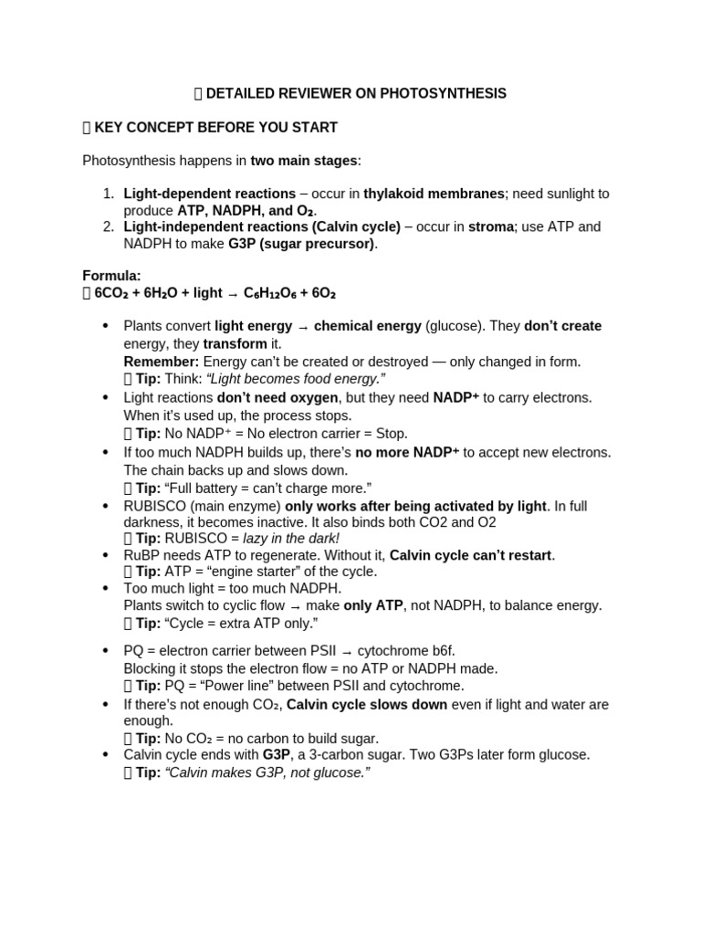 Comprehensive Guide to Photosynthesis | PDF | Photosynthesis | Metabolism