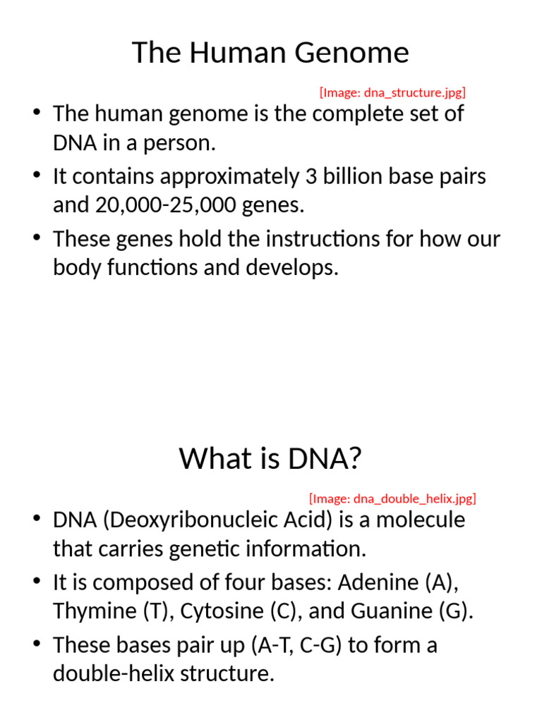 Understanding the Human Genome Basics | PDF | Gene | Genetics