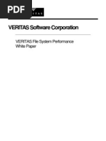 Veritas File System Performance