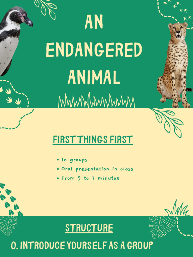 Endangered Animal Presentation Guide | PDF