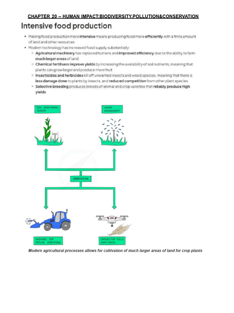 Chapter 20 Grade 9 Notes | PDF