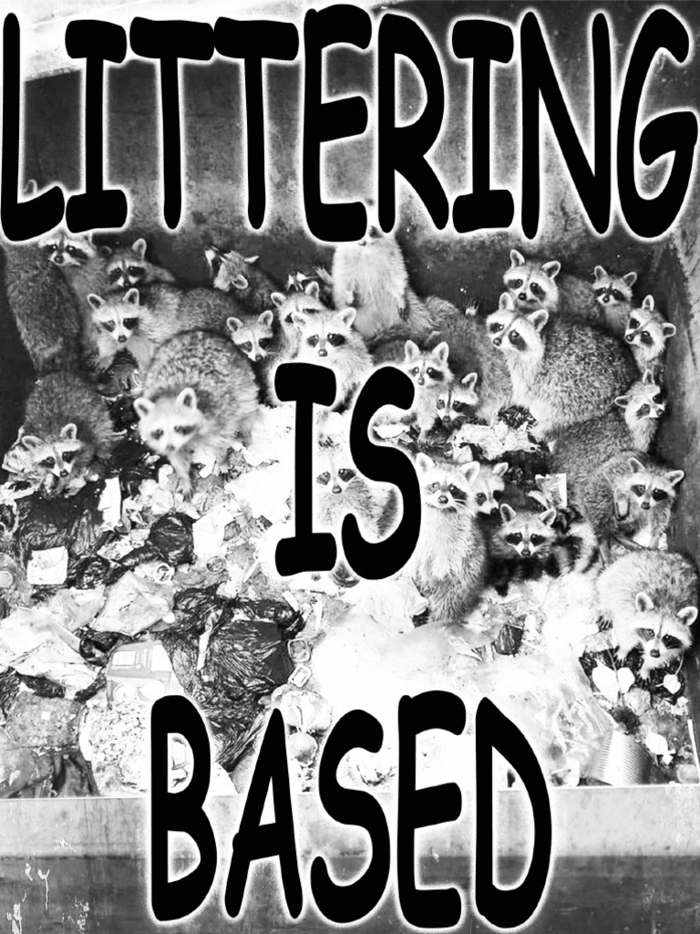 Littering | PDF