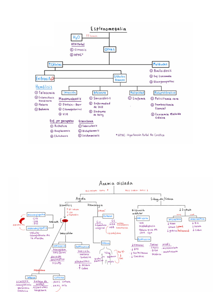 Clasificación y Tratamiento de Anemias | PDF | Glóbulo rojo | Anemia