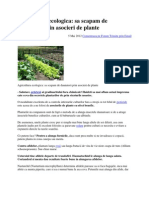 Agricultura Ecologica SA SCAPAM de DAUNATORI Prin Asocieri de Plante