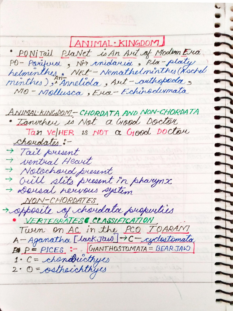 Trick To Learn Animal Kingdom Examples | PDF