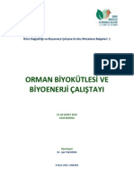 Orman Biyokutlesi ve Biyoenerji Calistay Raporu