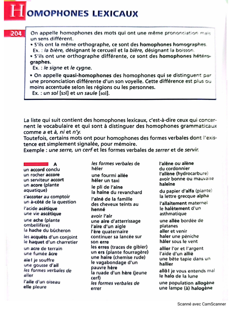 Homophones Homographes | PDF