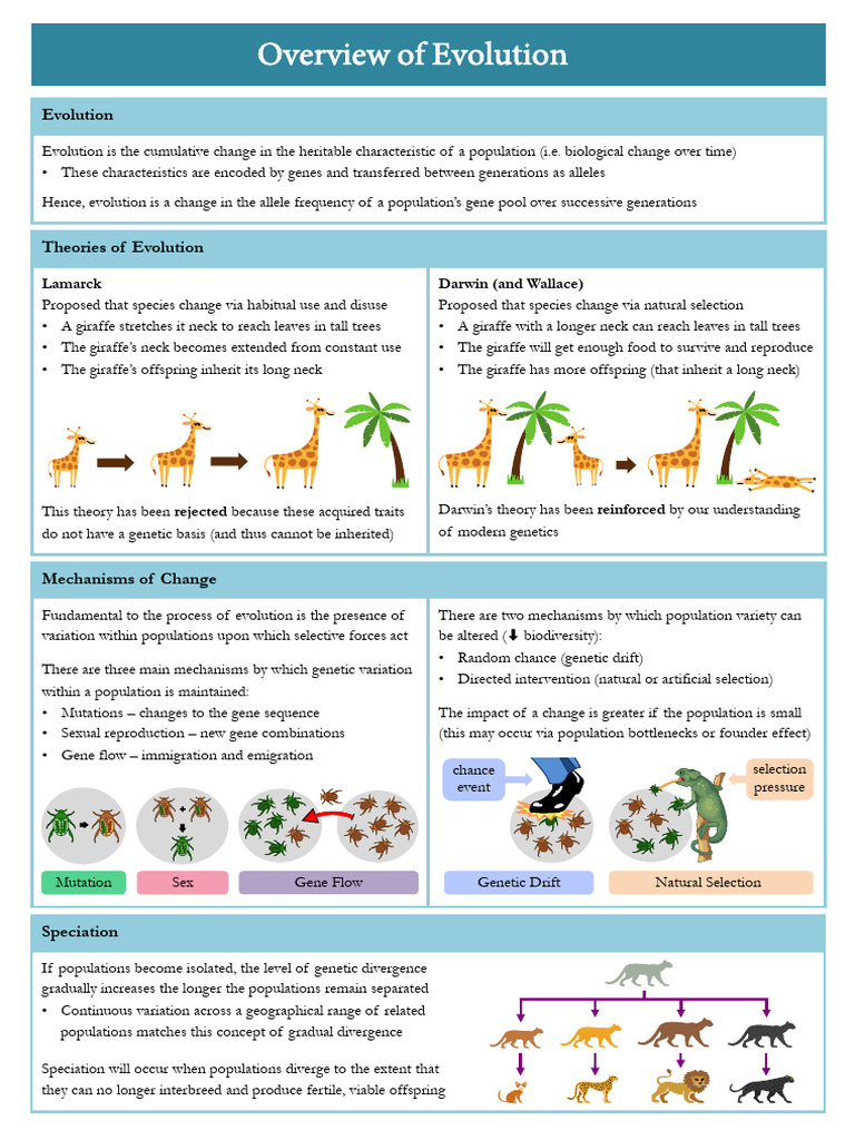 Mechanisms of Natural Selection | PDF | Evolution | Natural Selection
