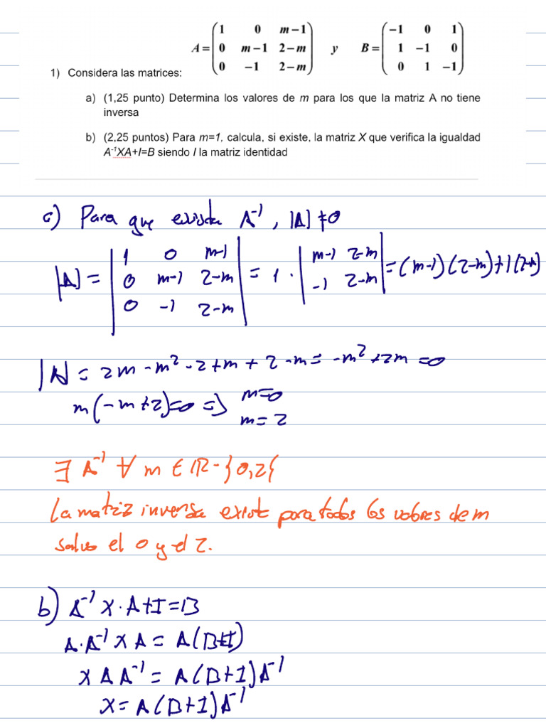 Propiedades de la Matriz Inversa y Determinante | PDF