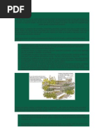 Mesa de jantar com madeira de demolição