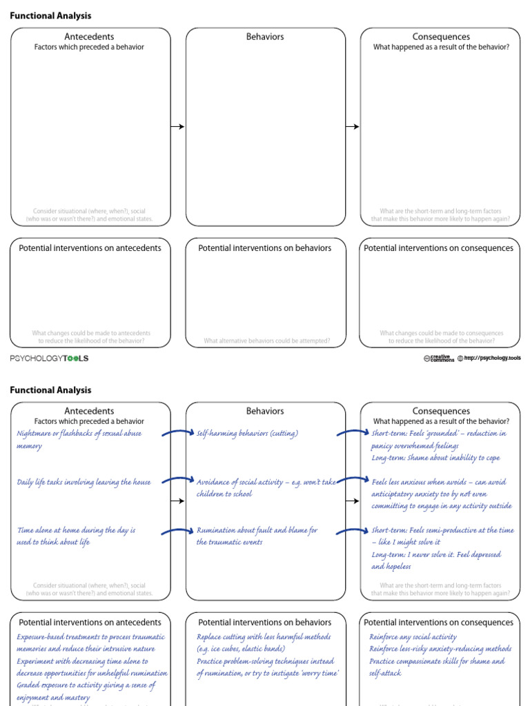 Functional Analysis of Behaviors | PDF | Anxiety | Behavior