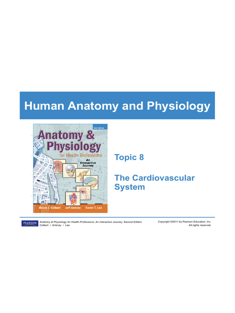 Cardiovascular System Overview | PDF | Diastole | Atrium (Heart)