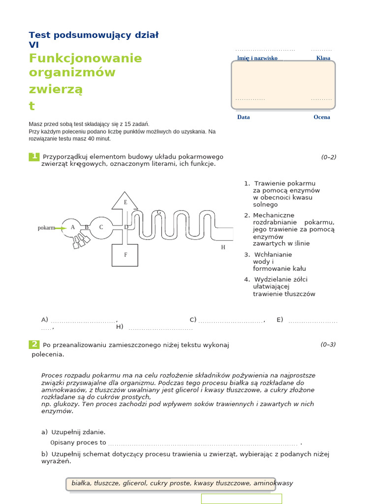 SPR - 6 - Funkcjonowanie - Zwierząt Wersja A Popr | PDF