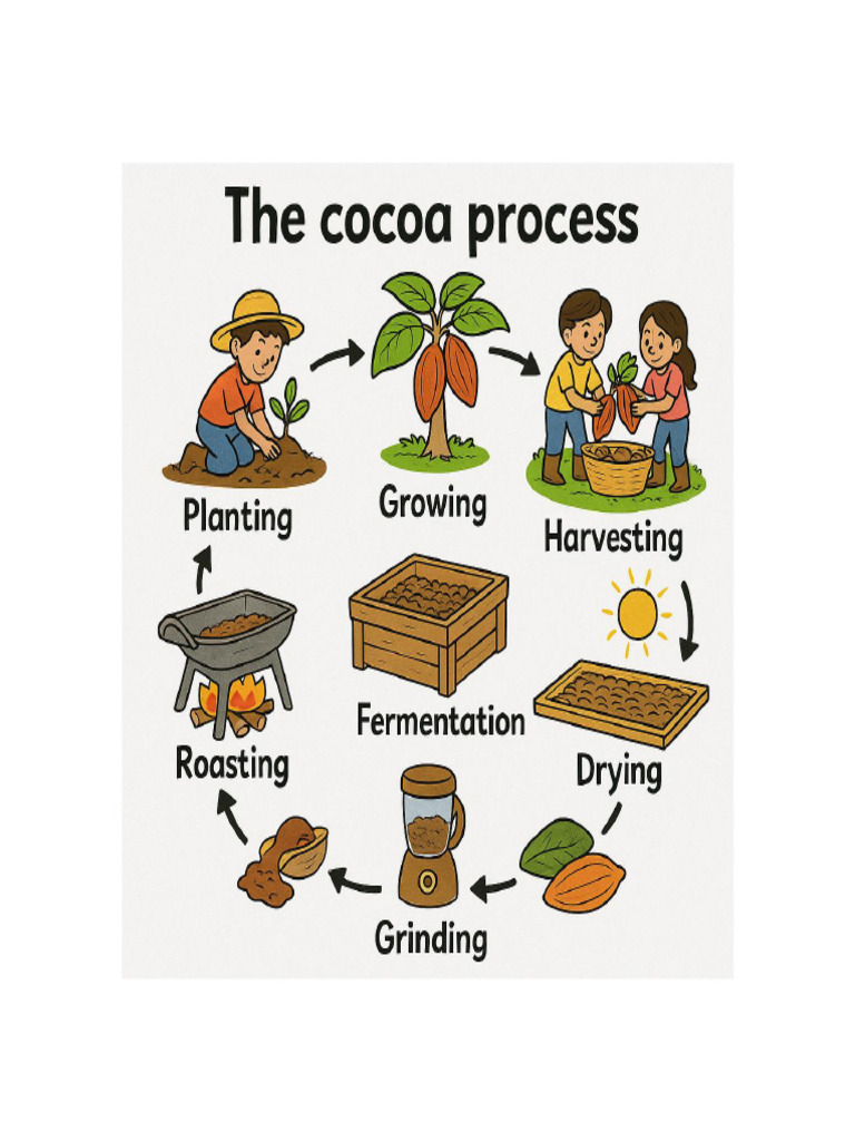 Cocoa Process Poster Cartoon Margins | PDF