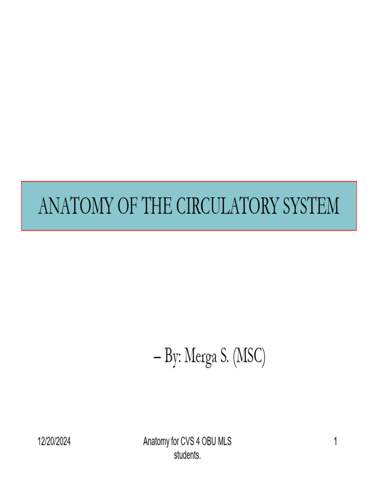 Circulatory System Anatomy Overview | PDF | Heart Valve | Vein