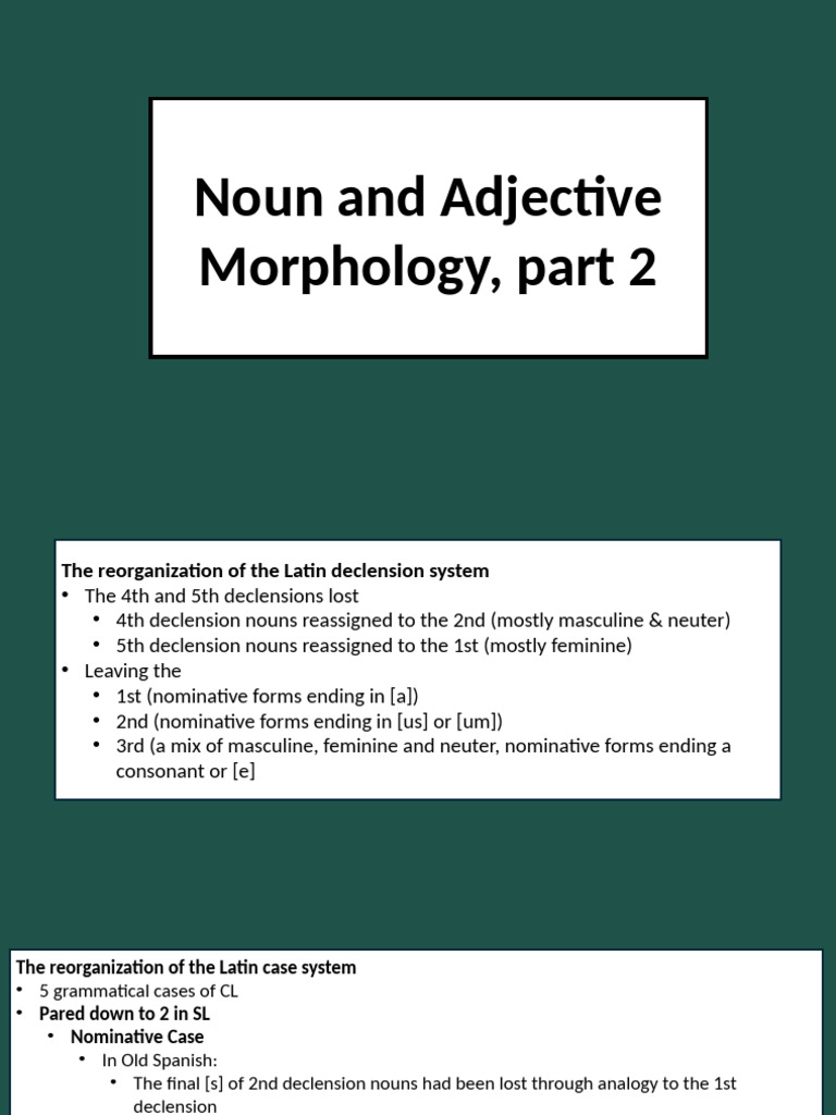 Latin Declension and Case System Changes | PDF | Grammatical Gender ...