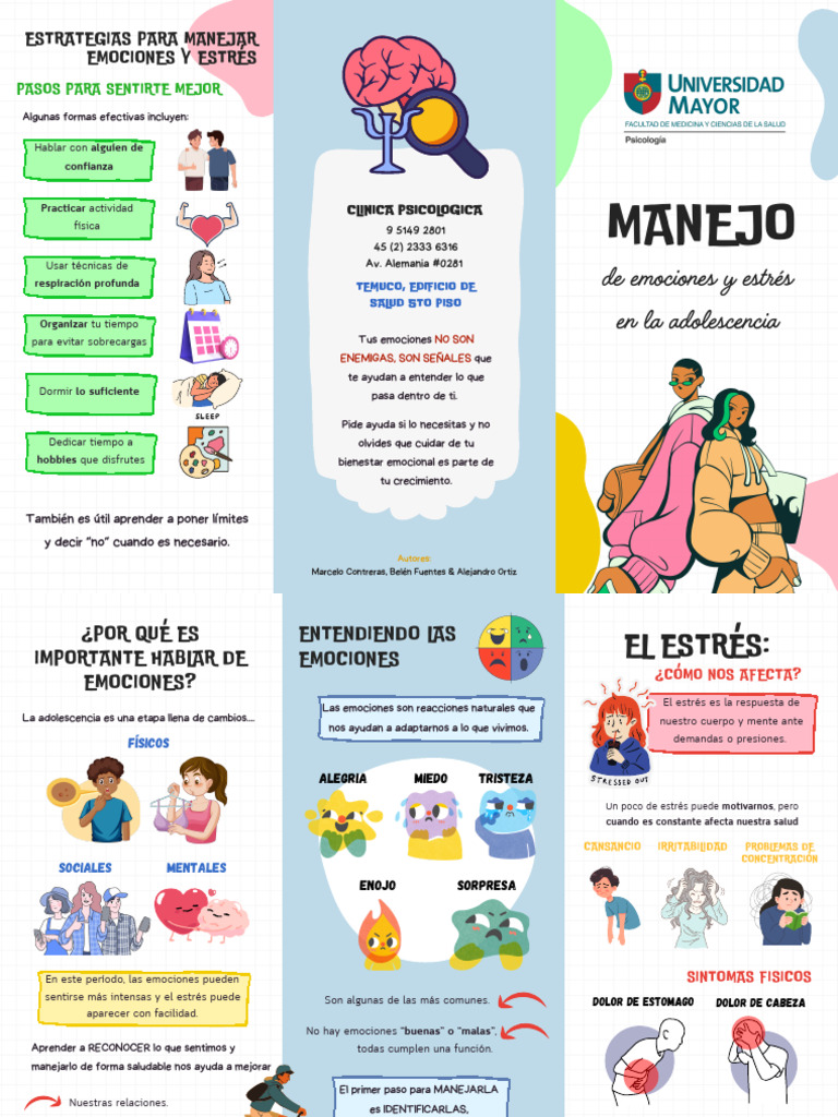 Manejo de Emociones y Estrés | PDF | Las emociones | Estrés (biología)