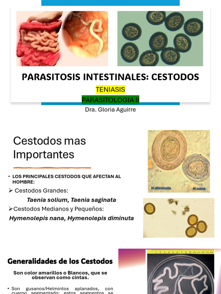 TENIASIS | PDF | Especialidades Medicas | Interacción humano-animal