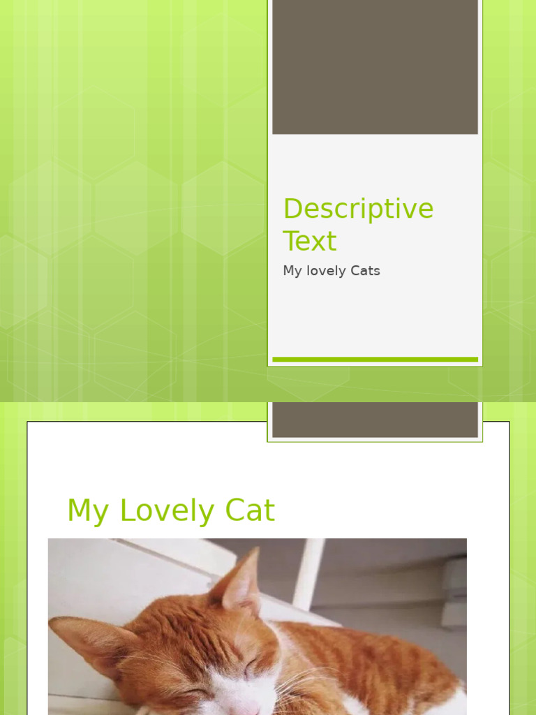 My Playful Stray Cat Description | PDF