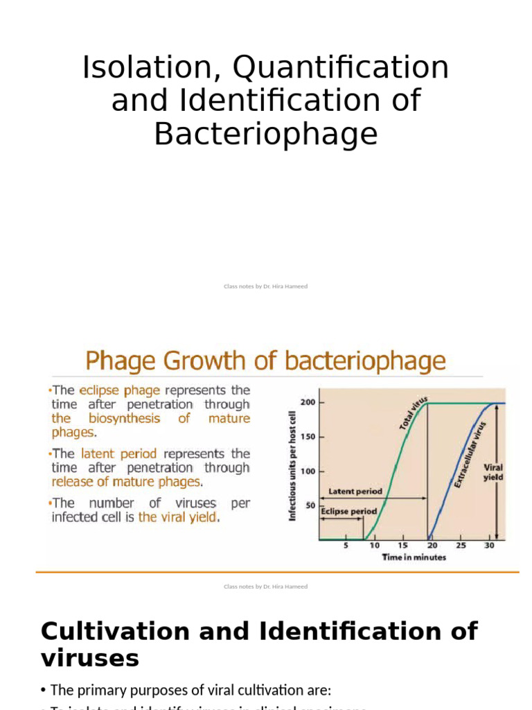 Bacteriophage Isolation and Identification | PDF