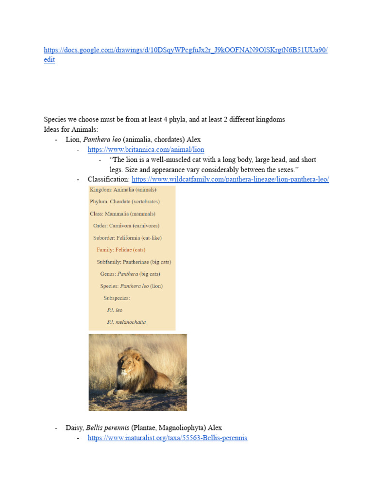 BB1001 Cladogram Project | PDF | Zoology