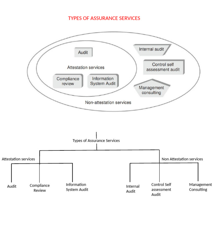 1.4 - Types of Assurence Services | PDF