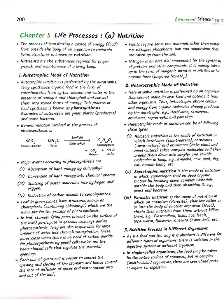 Life Processes Key Notes | PDF