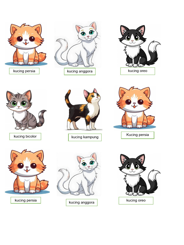 jenis-jenis-kucing-populer-di-indonesia-pdf
