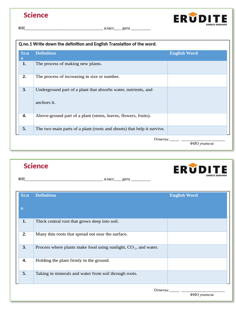 Task 1 | PDF
