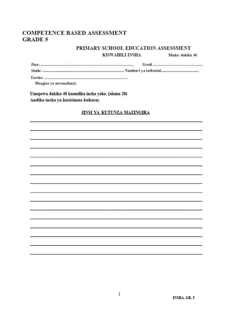 Grade 5 Insha: Environmental Care | PDF