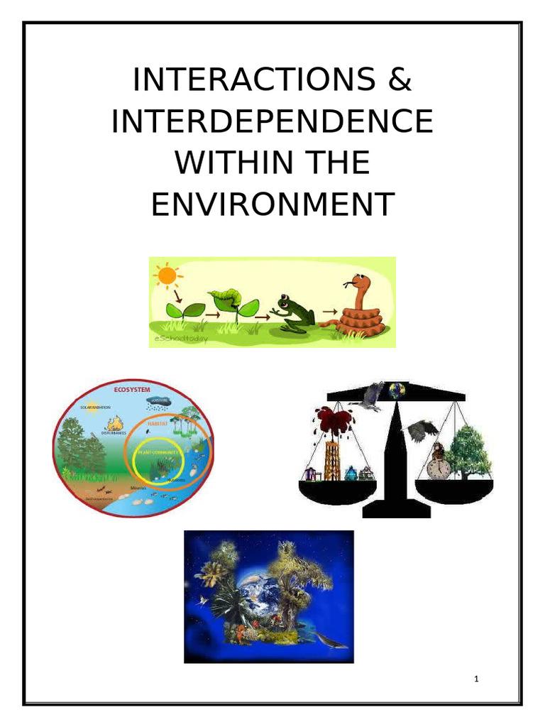 D Interactions and Interdependence 2021 | PDF | Ecosystem | Soil