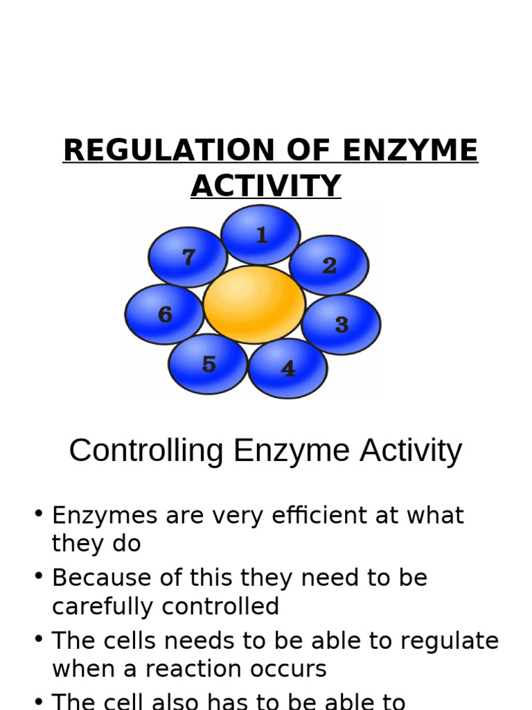 Enzyme Activity Regulation Methods | PDF | Enzyme | Enzyme Inhibitor